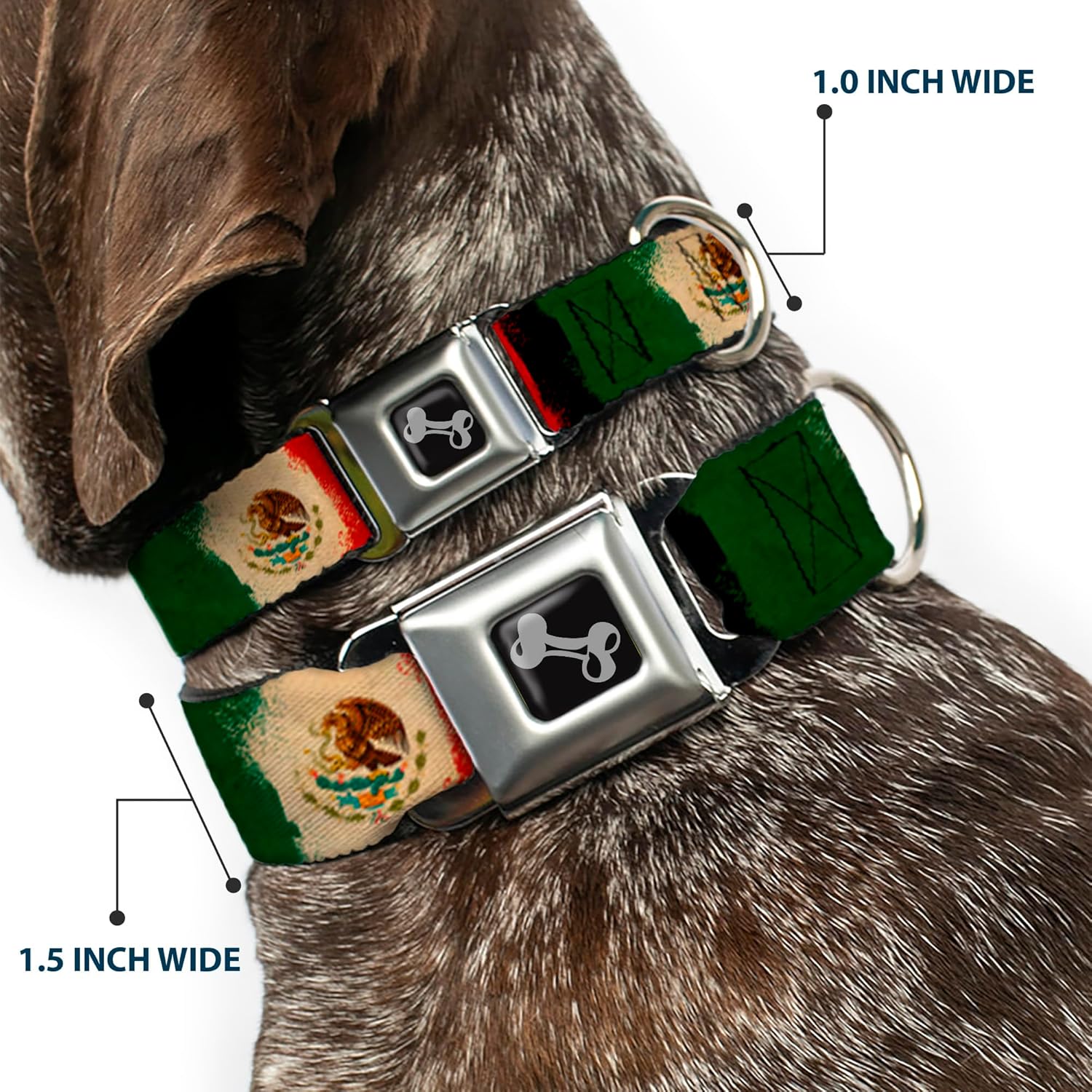 Buckle-Down Seatbelt Buckle Dog Collar - Mexico Flag Distressed Painting - 1.5" Wide - Fits 18-32" Neck - Large