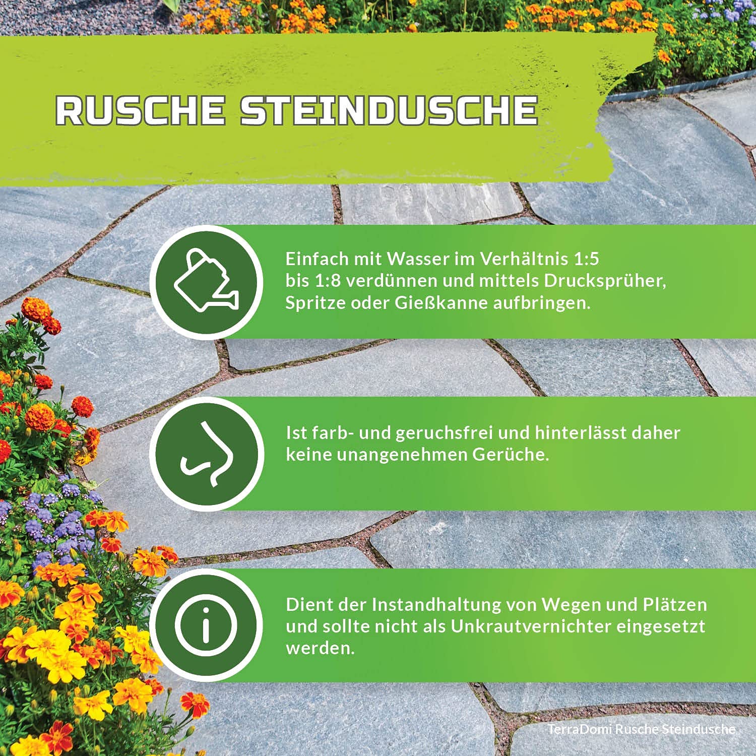 TerraDomi Rusche Steindusche, 10 Liter Konzentrat, Steinreiniger für bis zu 4000 m², Reinigungsmittel für saubere Wege & Plätze, Wegerein, biologisch abbaubar - BAuA Nr. N-93337