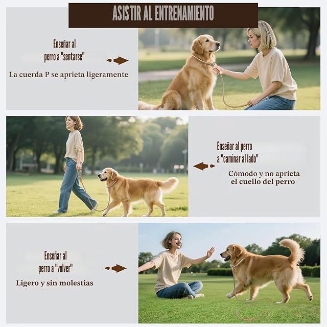 Foto 5 de 7 de QianRuiDa Correa de Adiestramiento para Perro en Cuerda Duradera, Resistente y Ajustable