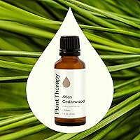 Vista 3 de Plant Therapy Atlas Cedarwood Essential Oil 30 mL (1 oz) 100% Pure, Undiluted, Therapeutic Grade