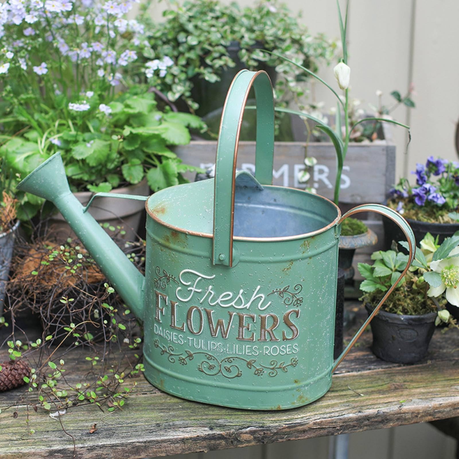 Innaffiatoio Metallico Vintage con Manico Superiore E Laterale per Piante da Interno Giardino Balcone Capacità 3 Litri