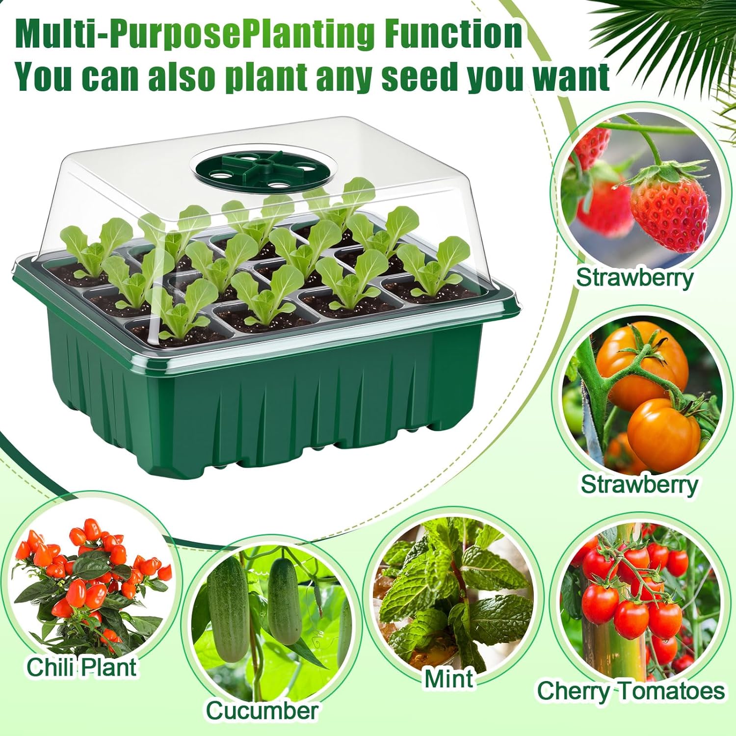24 Pack Seed Starter Tray Seedling Kit with Adjustable Humidity Dome and Base Indoor Plant Germination Tray Mini Greenhouse Germination Kit Planter Starter for Plant Growing Starting