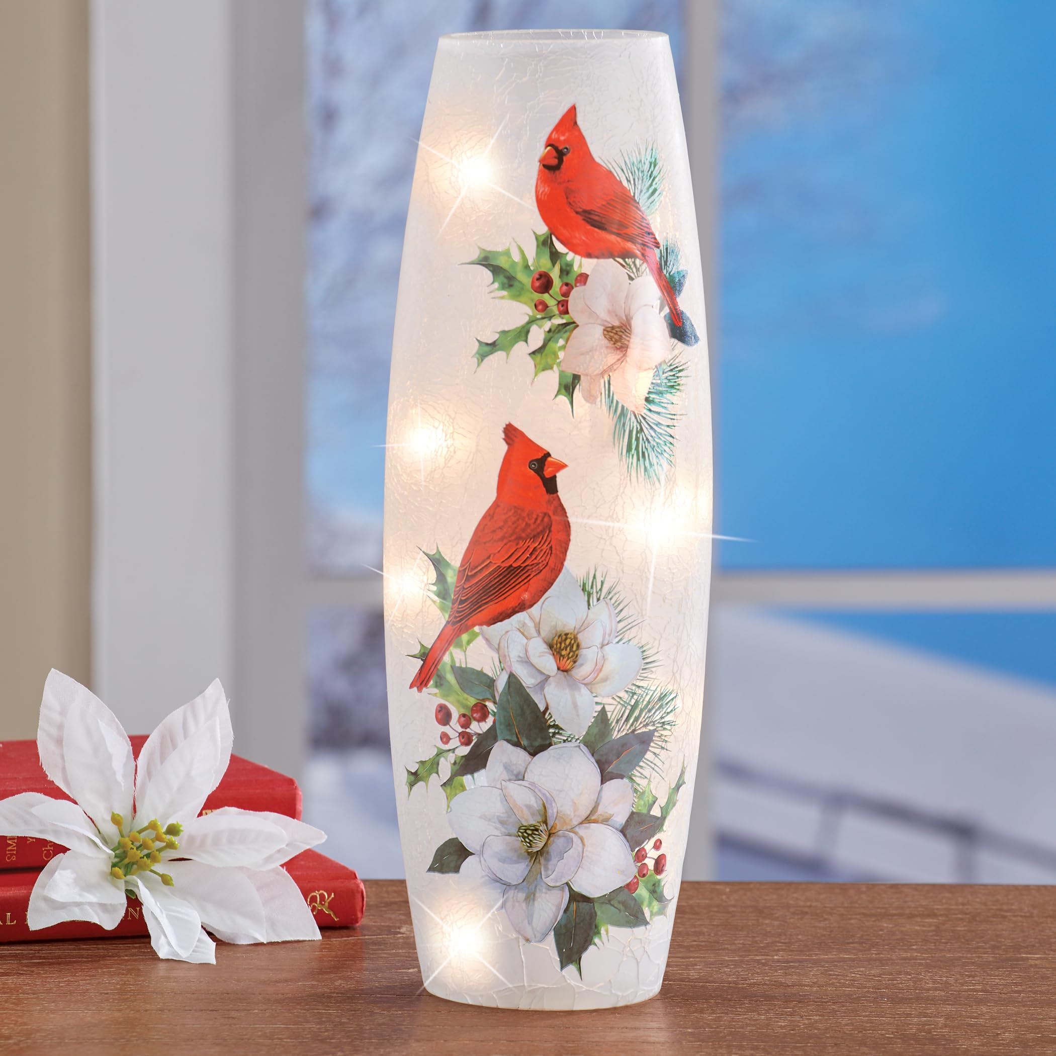 Amazon.com: Collections Etc Winter Floral Cardinal LED Lighted