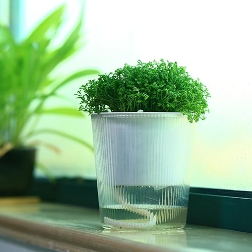 Miniatura 8 de Paquete de 8 macetas y macetas transparentes de riego automático de 4.5 pulgadas para plantas de interior, macetas pequeñas de orquídeas, macetas de