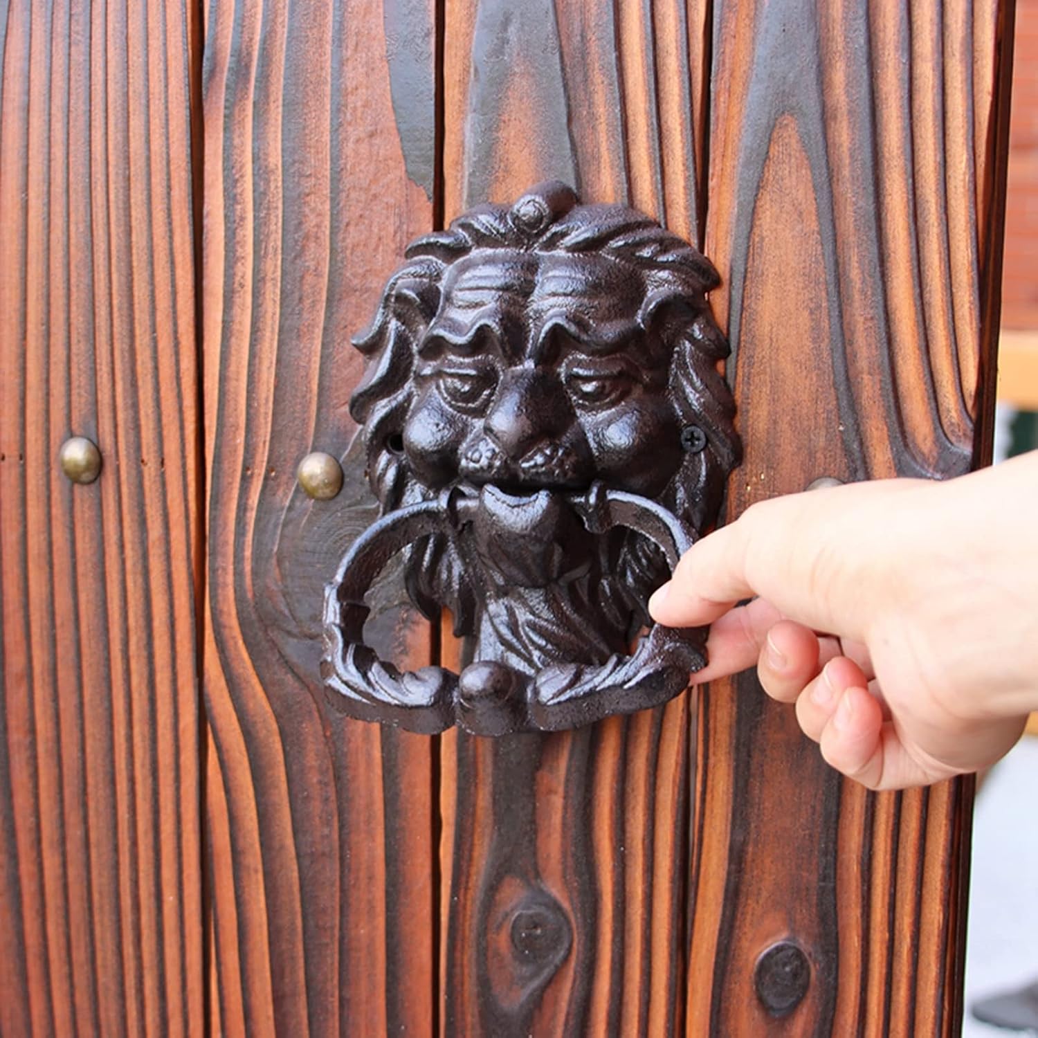 JYDQM Door Knocker Wall Decor for Front Door Decoration Front Door Knocker Lion's Head Shaped, Heavy Duty Weatherproof Cast Iron Backyard Gate Handle, Vintage Garden Fence Pull