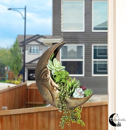 Miniatura 3 de Maceta colgante con cara de luna para decoración de habitación de luna, maceta colgante para suculentas, planta de aire, mini cactus, plantas