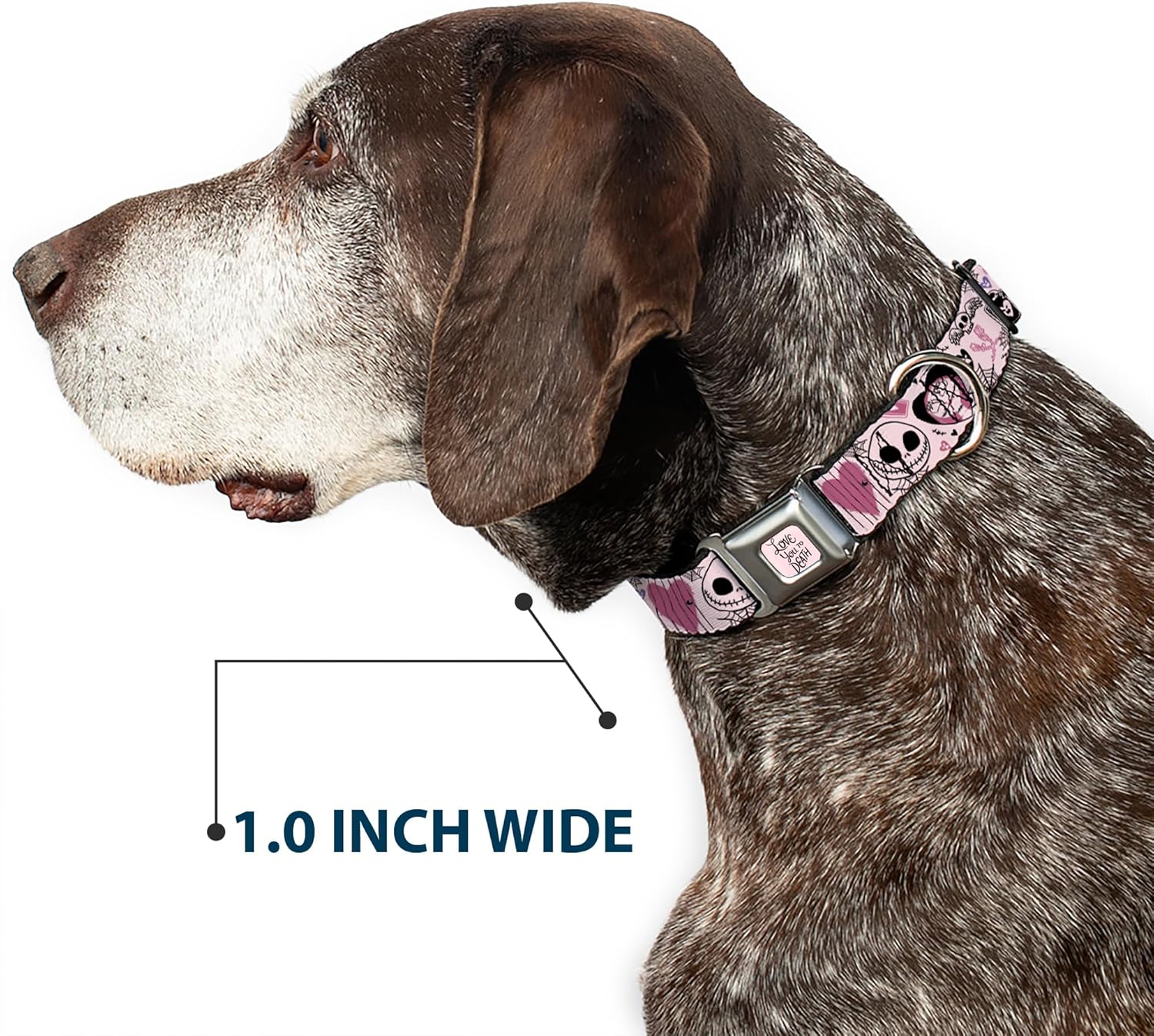 Disney Pet Collar, Dog Collar Metal Seatbelt Buckle, The Nightmare Before Christmas Jack and Sally Doodles Pink, 16 to 23 Inches 1.5 Inch Wide
