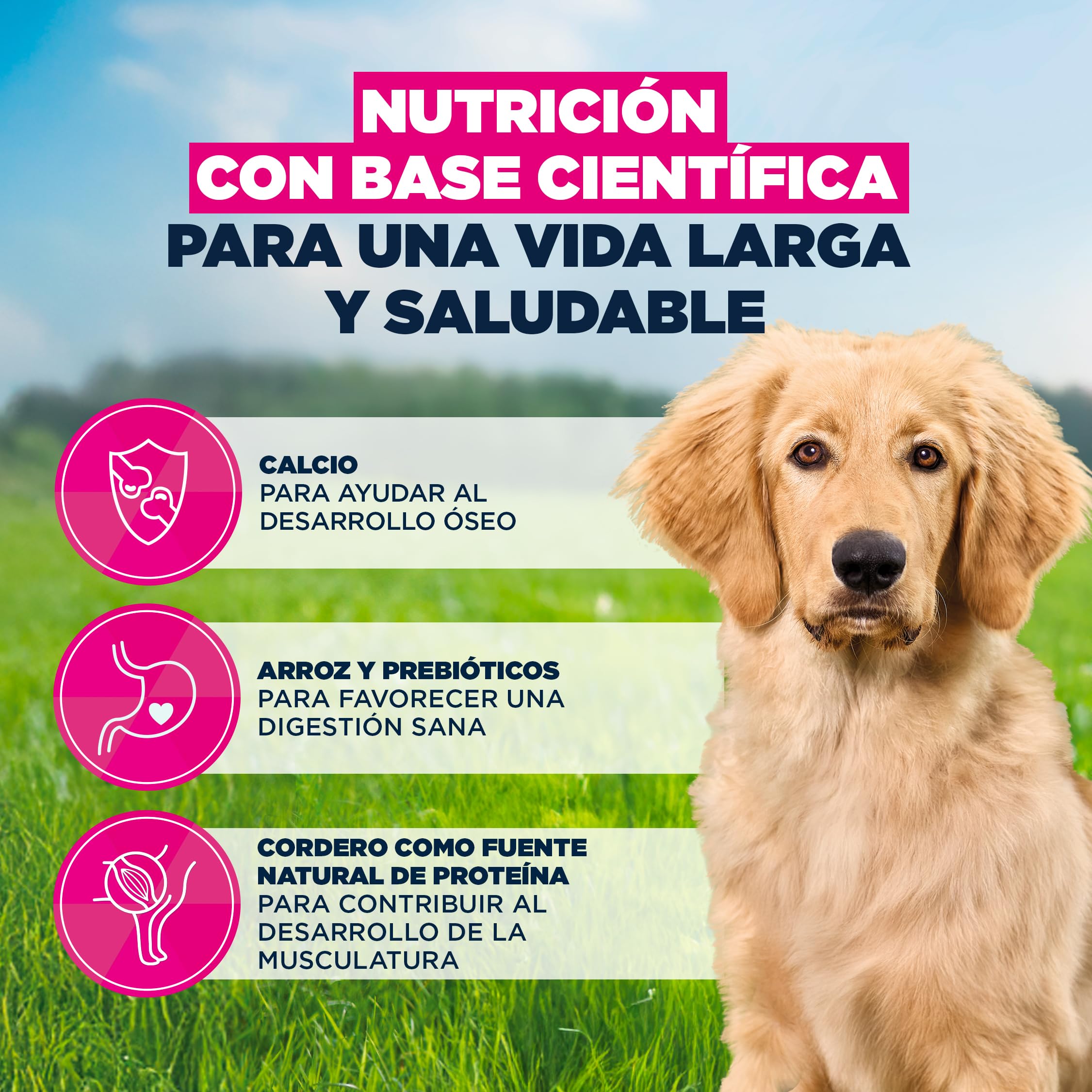 Eukanuba, alimento para Cachorros con Cordero y arroz para Razas Grandes - Alimento seco Premium para Perros Junior, 12 kg