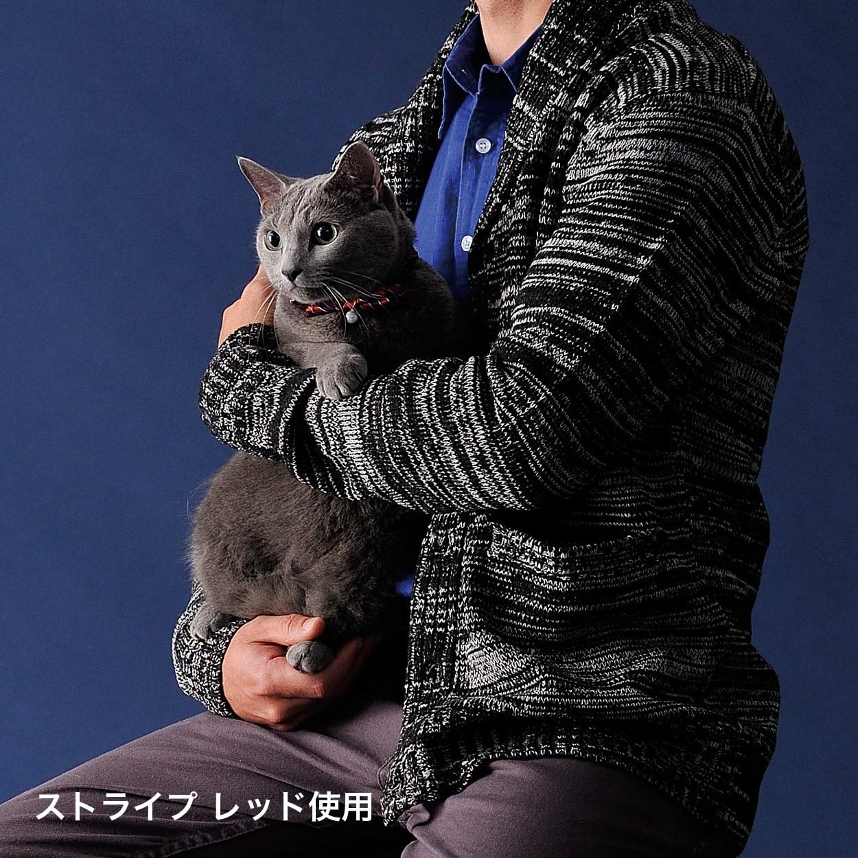 Petio Charmant Cat Collar Chouchu (Stripe/Red) (Japan Import)