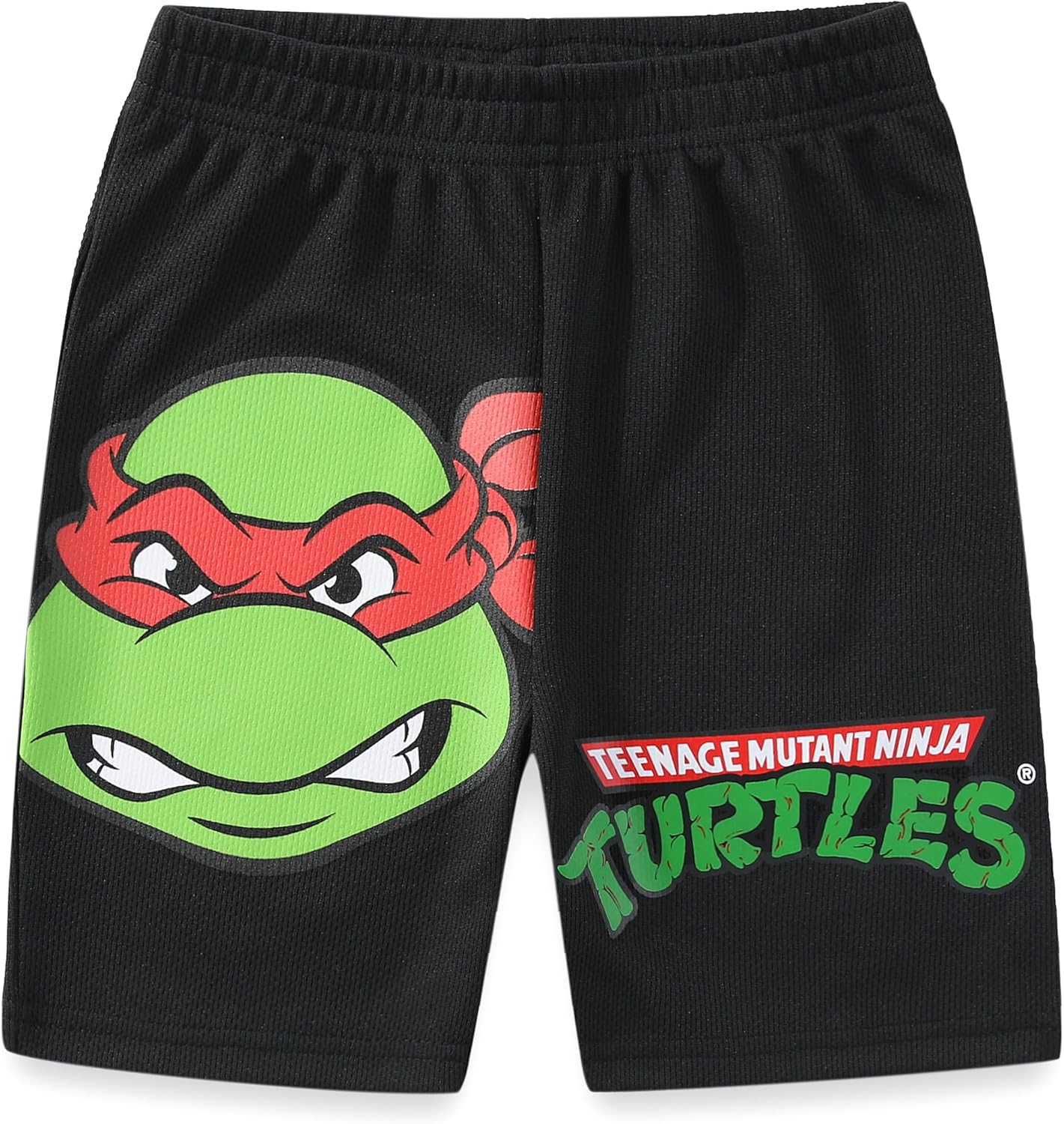 Nickelodeon Teenage Mutant Ninja Turtles Boys 2 Piece Pullover T-Shirt and Shorts Set for Toddler and Big Kids - Image 6