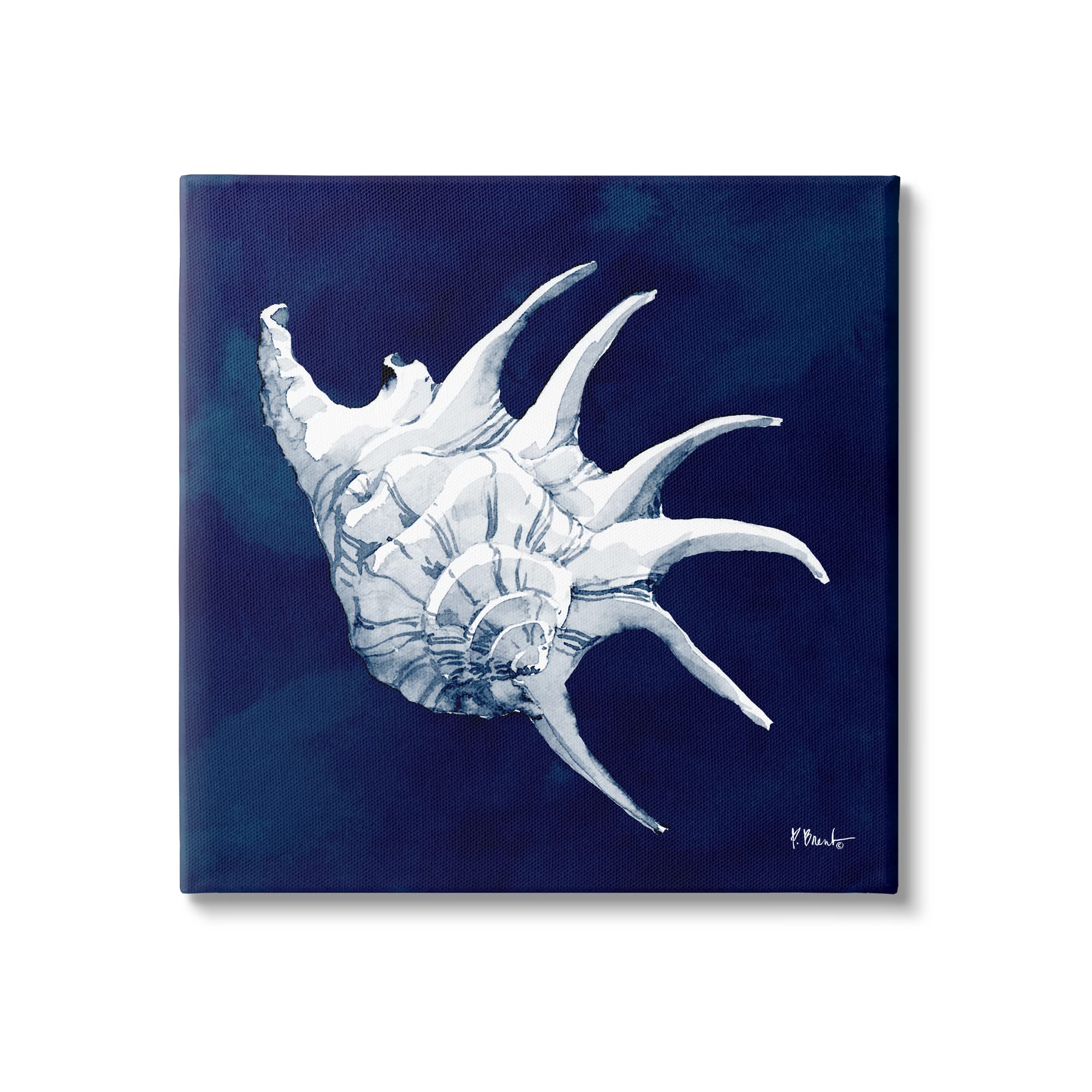 Stupell Industries Cyanotype Shells Traditional Conch Canvas Wall Art, Design by Paul Brent