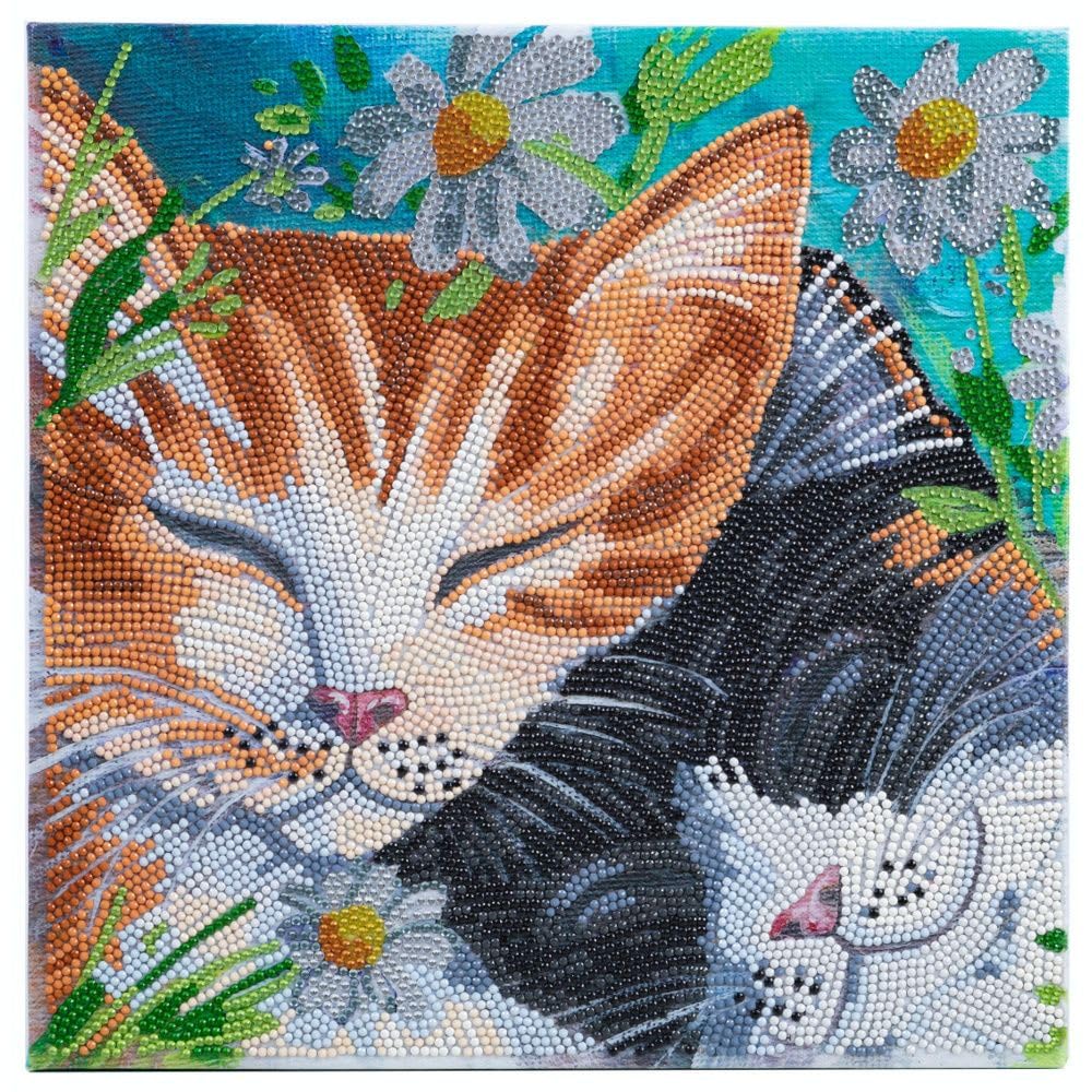 Amazon.com: Crystal Art Medium Framed Mounted Wall Art Kit (11.8in