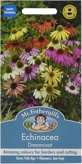 Mr Fothergill's 17816 Flower Seeds, ECHINACEA Dreamcoat