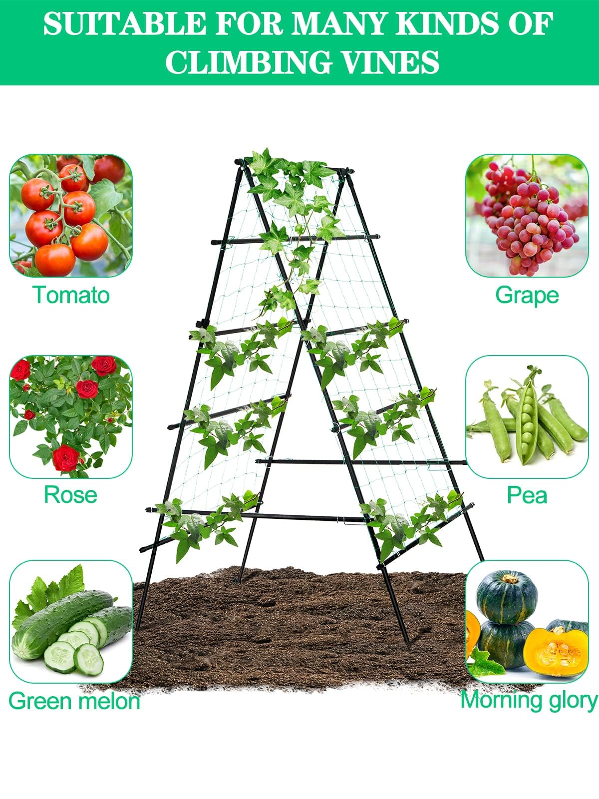 6 × 3 Piedi Traliccio Giardino Piante Rampicanti, Kalolary A Frame Giardino Cetriolo Grow Tralicci Metallo Antiruggine Pianta Vaso Supporto Rampicante Interni All'aperto Frutta Verdura Viti Supporto