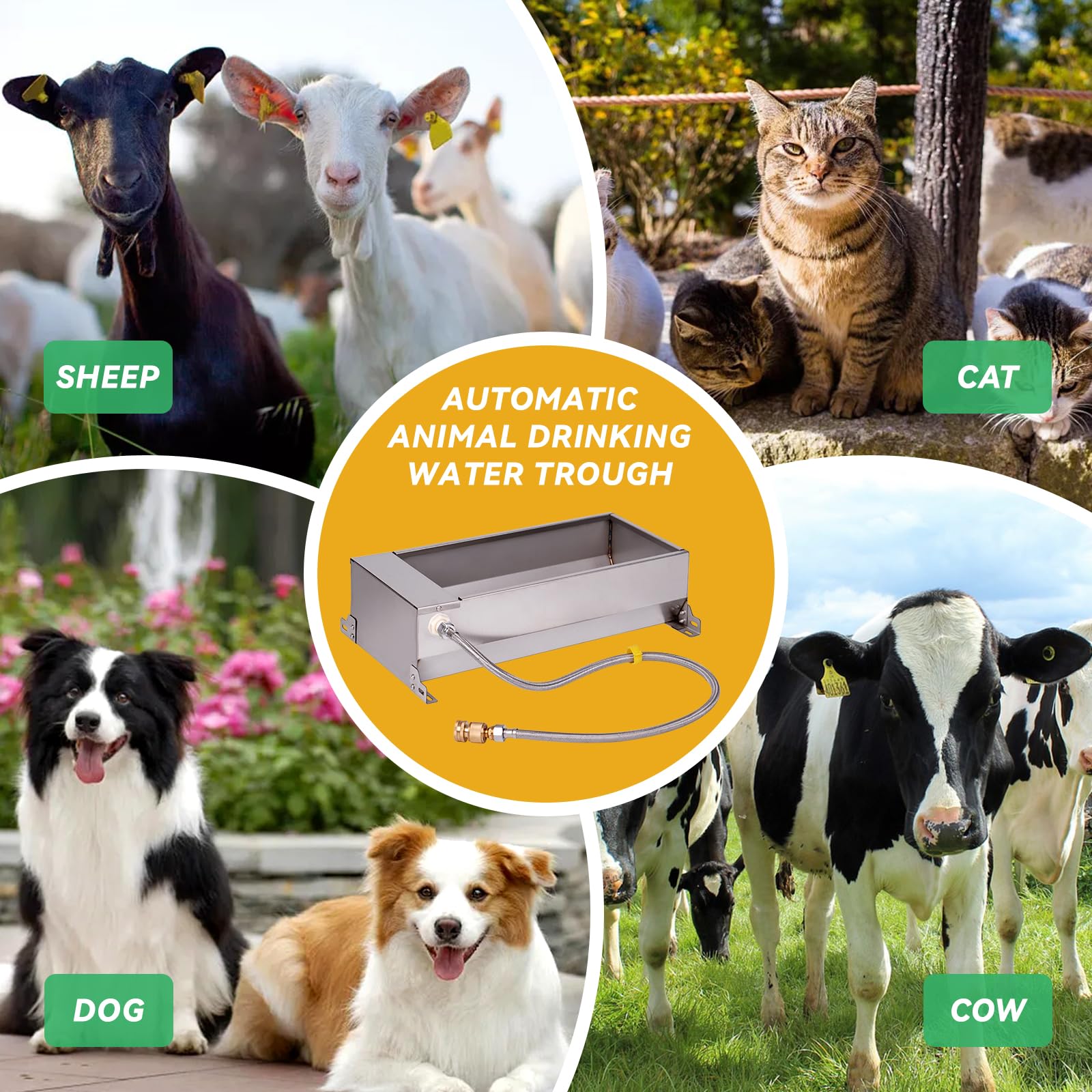 Abbeveratoio automatico dell'acqua del cavallo della valvola di galleggiamento del riempimento di auto dell'acqua del bestiame