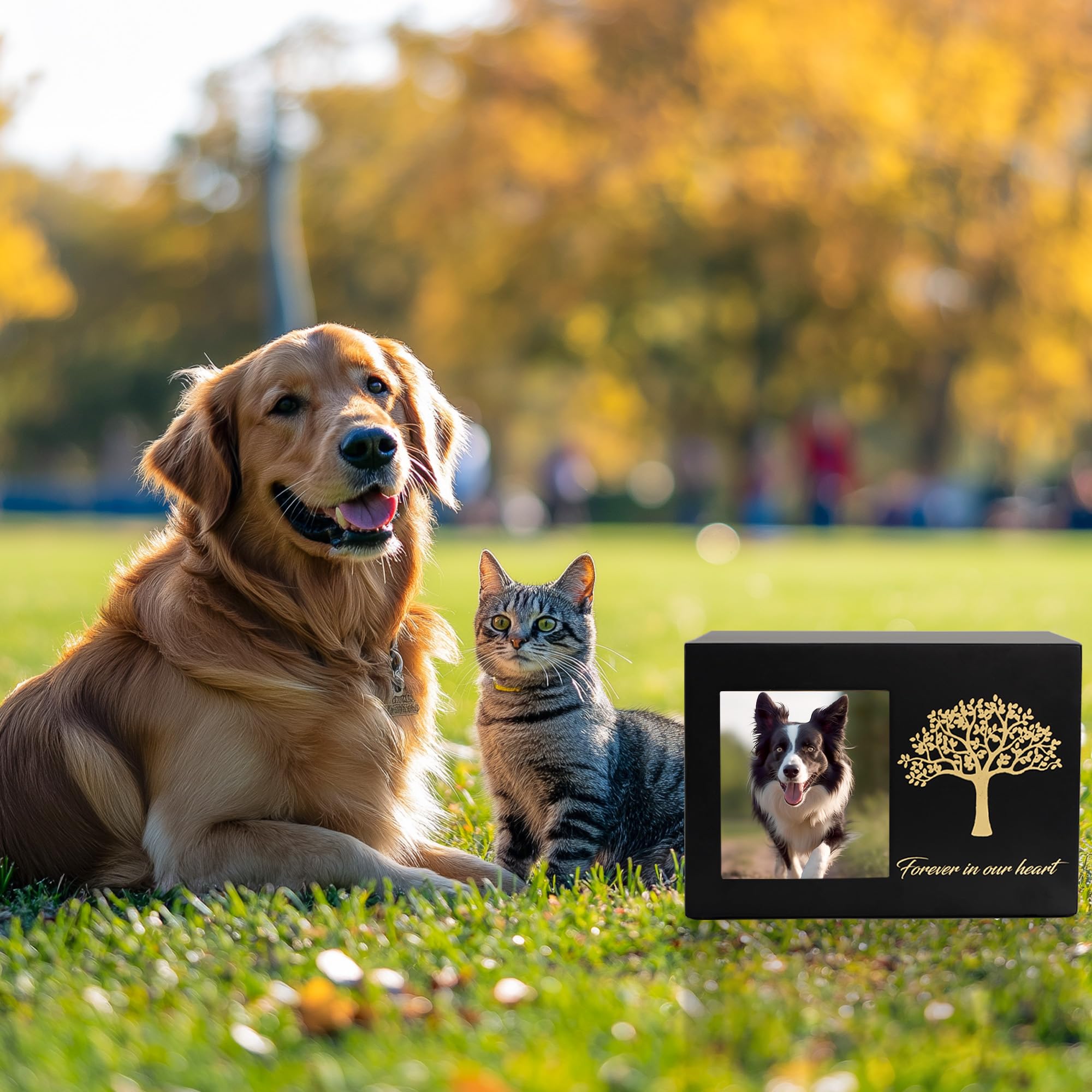 Urne per cani o gatti, cornice portafoto personalizzata e Albero Commemorativo, ceneri in legno, scatola dei ricordi per gatti o cani (25kg)