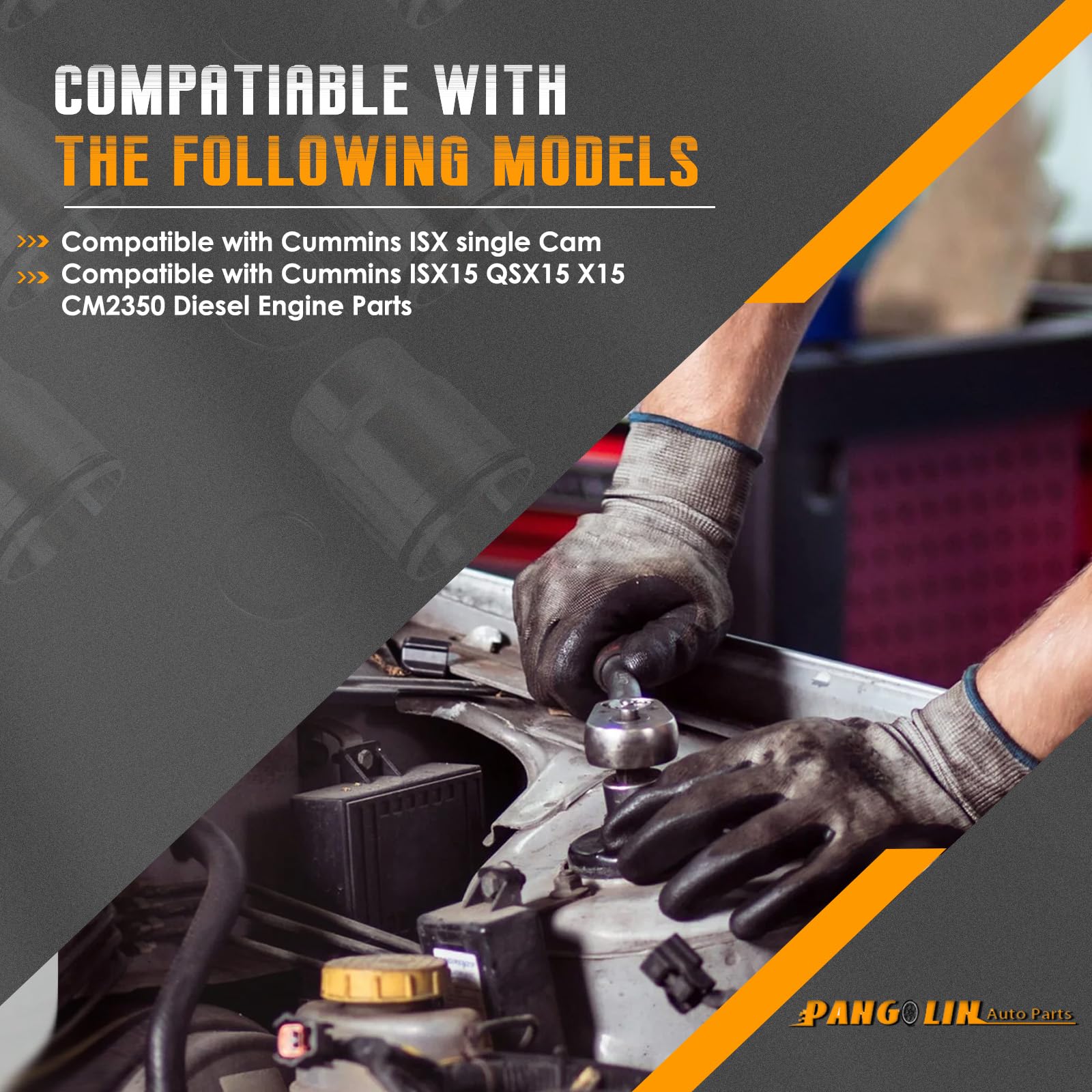 Amazon.com: PANGOLIN 3686961 Fuel Injector Sleeve Kit Cup Tube  