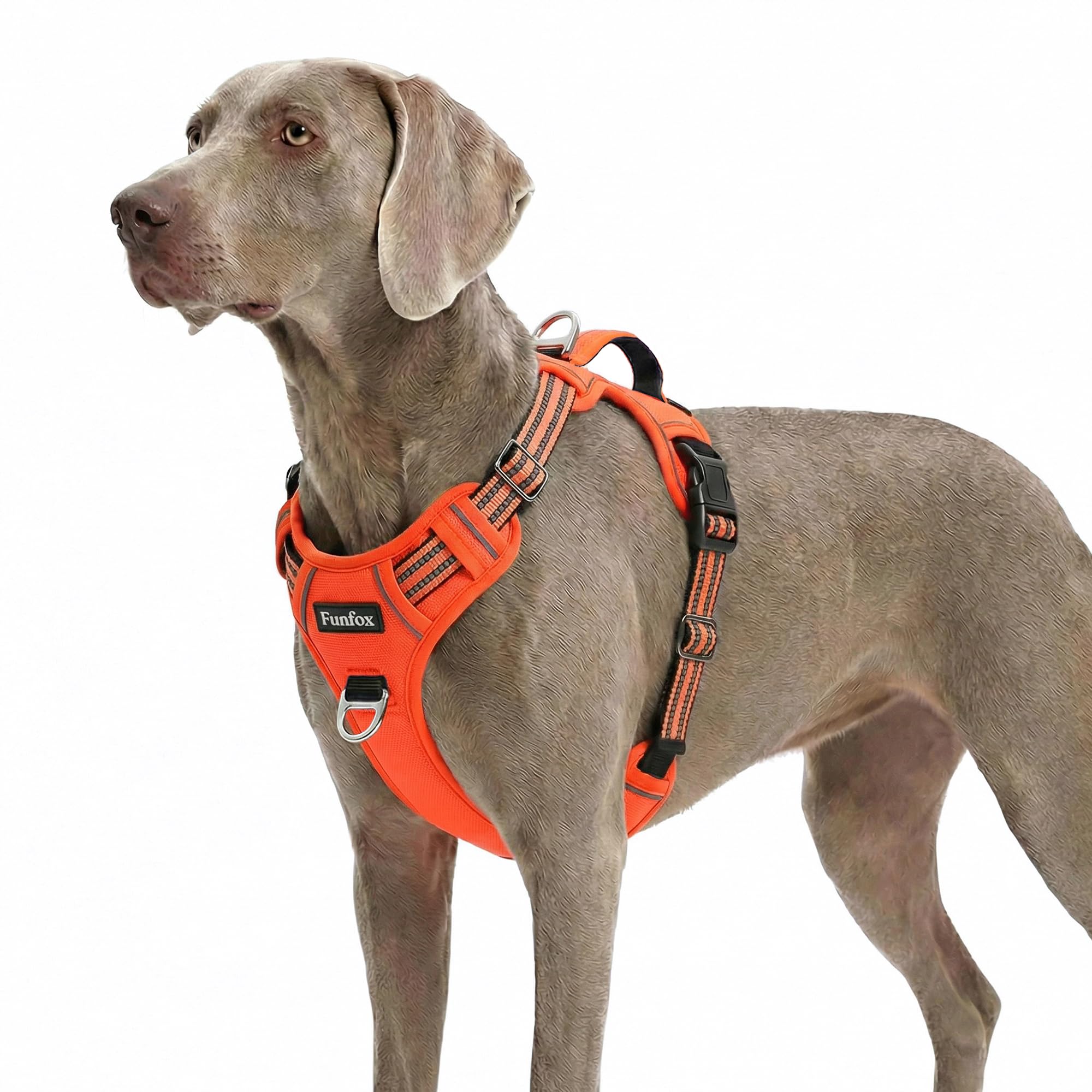 Funfox Hundegeschirr Mittelgroße Hunde, Anti Zug Brustgeschirr Verstellbares Geschirr Hund mit Griff Reflektorstreifen, No Pull Geschirr Hund für Kleine Mittlere Grosse Dog Harness