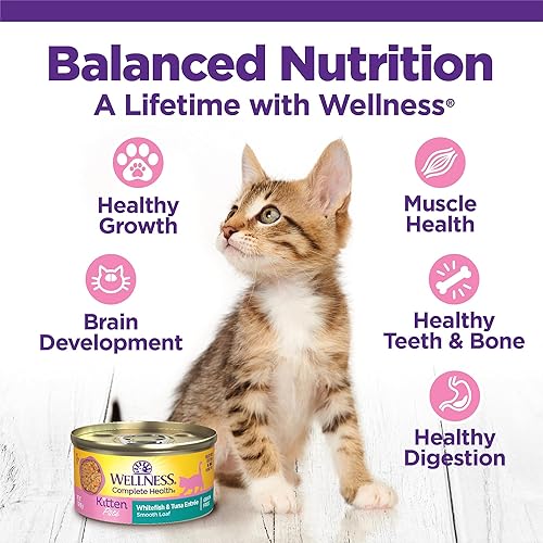 Miniatura 5 de Wellness Complete Health Alimento enlatado húmedo para gatos, sin granos, ingredientes naturales, hecho con carne real, para todas las razas, paté