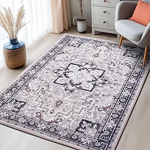Lofus 3x5 Area Rugs for Living Room, Machine Washable Area Rug, Soft Small Rugs for Bedroom, Kitchen, Office and Indoor, Vintage Boho Carpet, Non-Slip Low Pile Carpets, Black and Pink