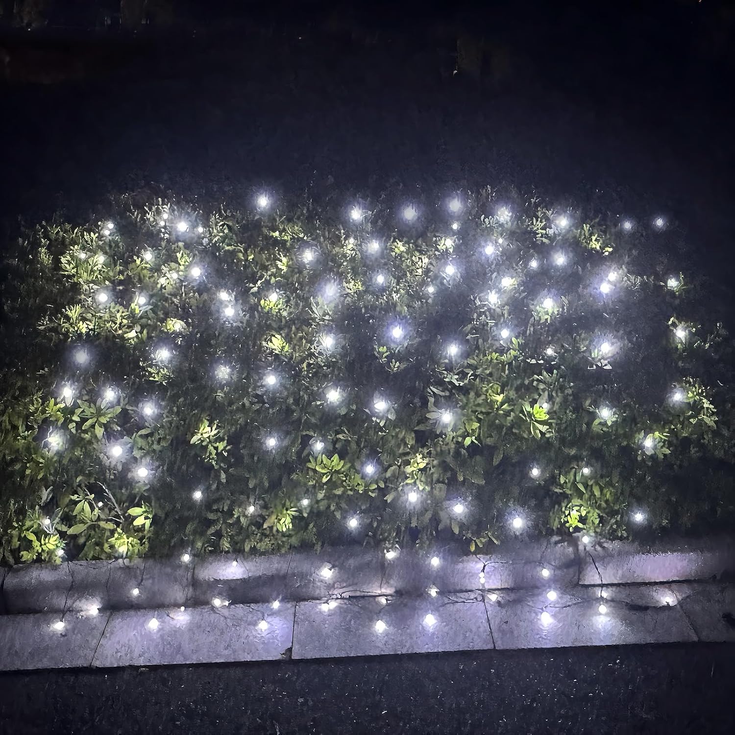 LED Christmas Net Lights Outdoor, UL Certified, 144LED 6ftx6ft, Green Wire, Connectable Waterproof Mesh Light for Christmas Party, Yard, Shrubs and Bushes Decorations (White)