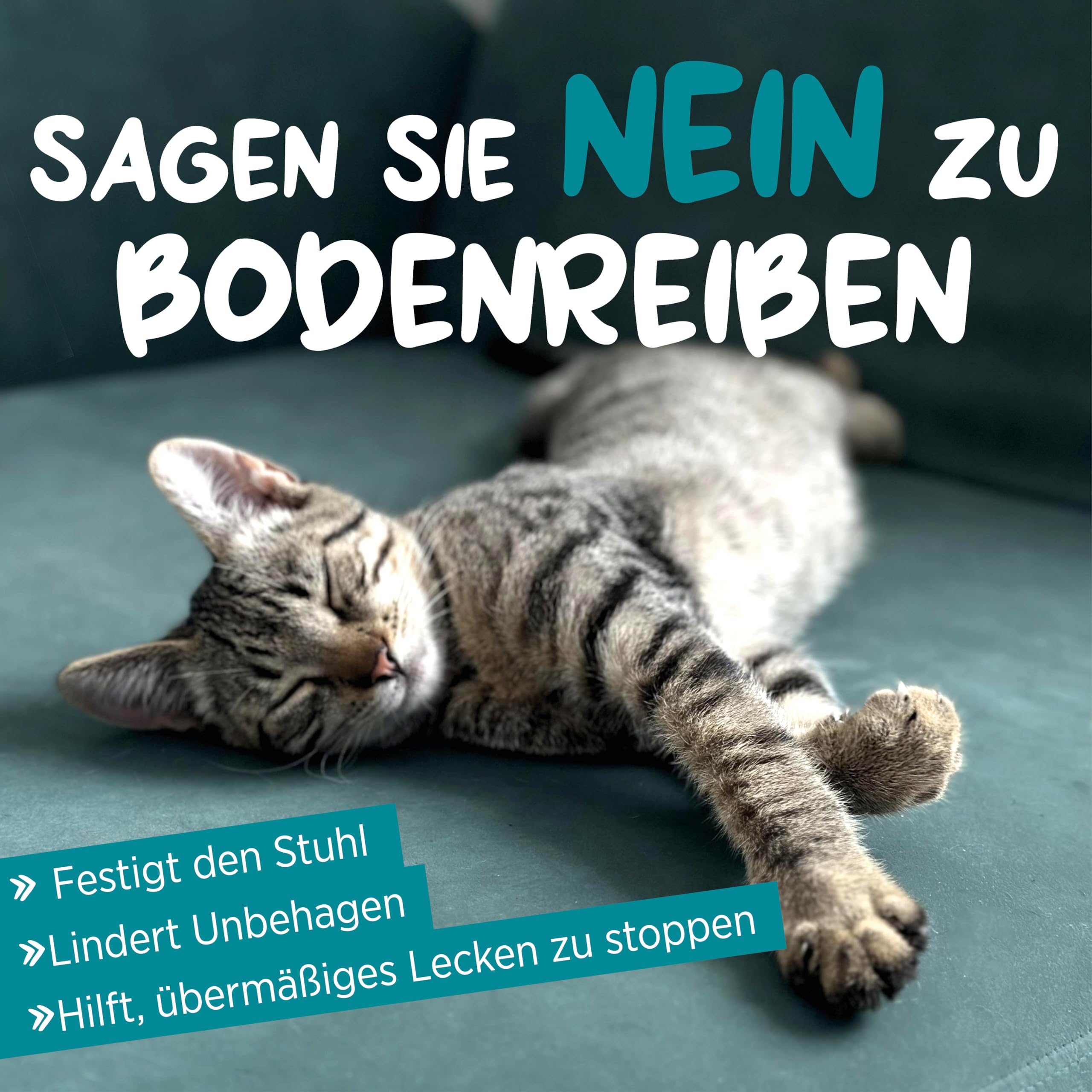 maxxipaws maxxiscoot Analdrüse & Darmgesundheit für Katzen - Nahrungsergänzungsmittel in Pulverform, 90g