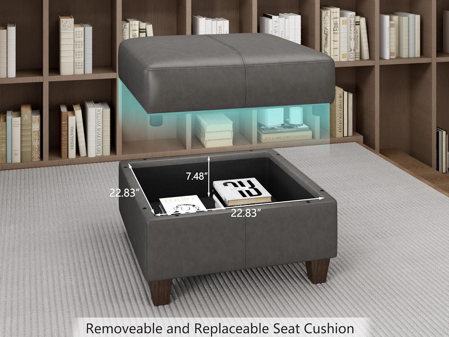 Removable seat cushion revealing storage space with dimensions