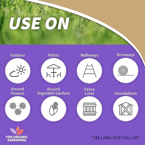 Miniatura 2 de 2600 Burnout II - Eliminador de malezas y hierbas, concentrado, 16 onzas, cantidad 1