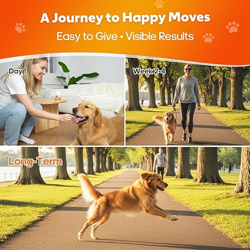 Miniatura 5 de Suplemento de cadera y articulaciones para perros, suplemento para aliviar el dolor articular con MSM, glucosamina, condroitina, apoyo a la