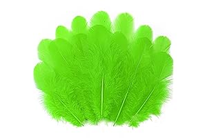 Soarer 300pcs Green Feathers: Craft Dream Catchers, DIYs
