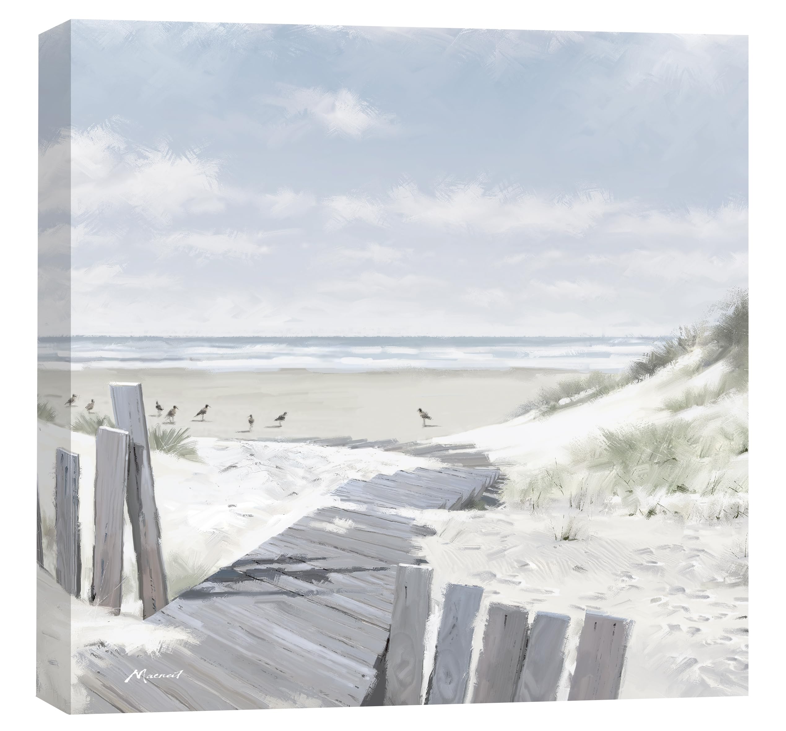 Artko Coastal Scene Canvas Print - Pathway to the Beach II Painting by Richard Macneil - Contemporary Seaside Themed Artwork - 40 x 40cm