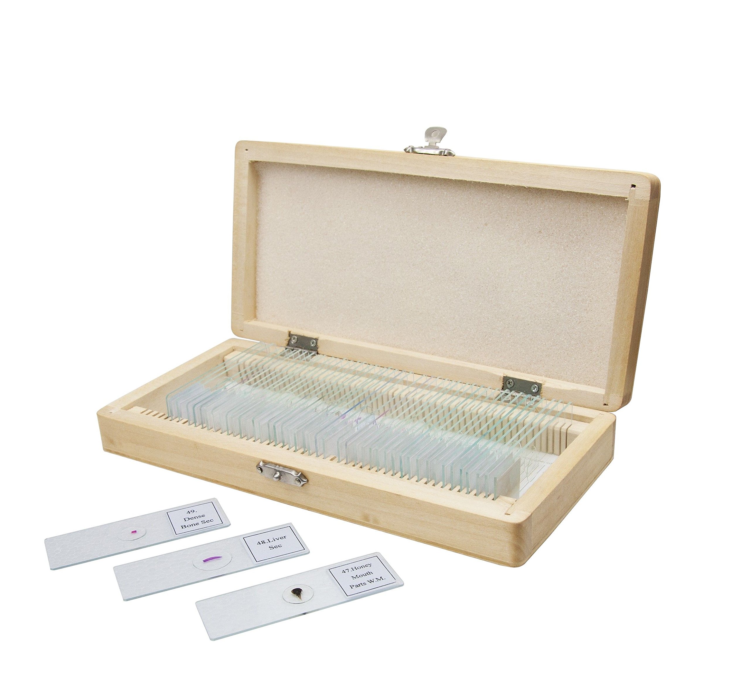 BCrown 25 muestras de para microscopio - MIX B