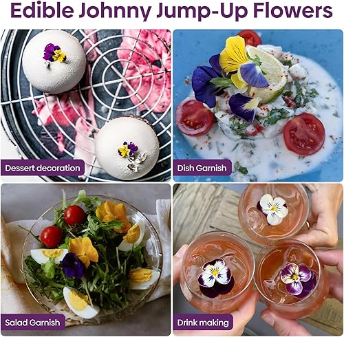 Miniatura 7 de Johnny Jump Up Seeds, más de 10000 semillas perennes de violeta silvestre para plantar, flores comestibles, atrae a los polinizadores