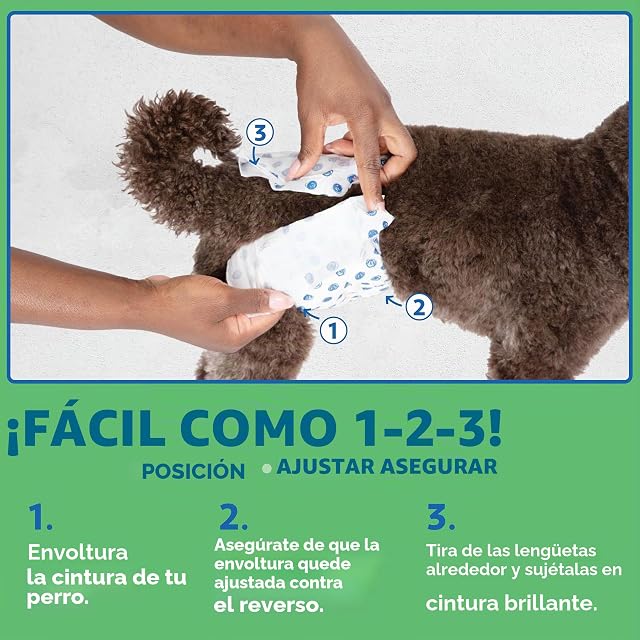 Foto 4 de 8 de OUT! Pet Care - Pañales Desechables para Perros machos