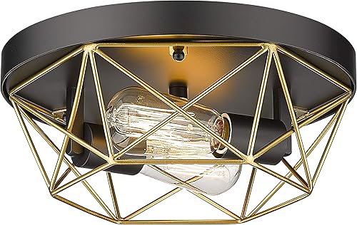 HWH - Lámpara de techo industrial de 2 luces, montaje empotrado de jaula de metal de latón, negro y dorado para dormitorio, pasillo, vestíbulo, sala