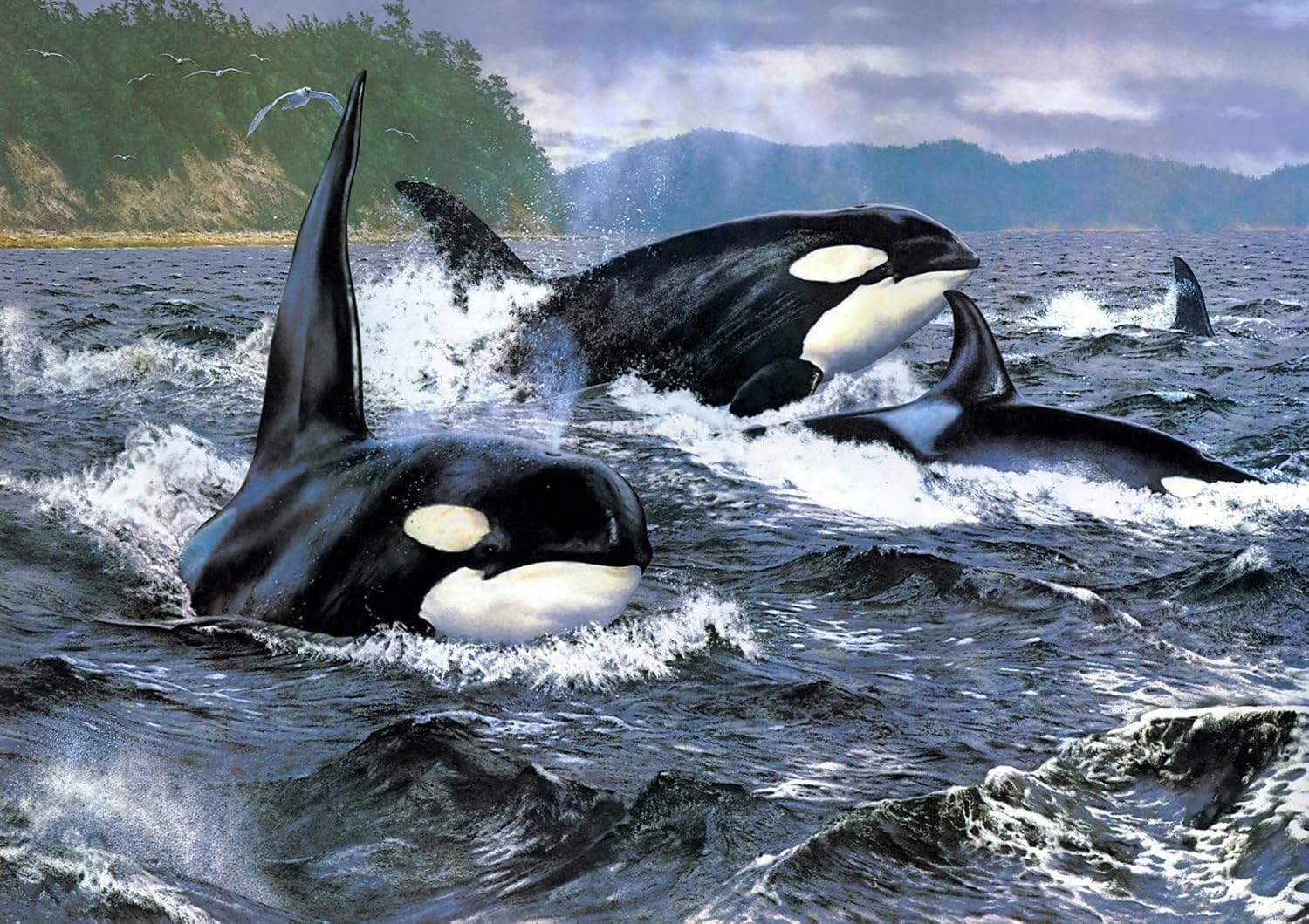 1000 Pieces Jigsaw Puzzle for Adults,Group of Killer Whales，Wood Jigsaw Puzzle,Brain Challenge Educational Game Relaxation Family Activity Pastime Entertainment Activity Decorative Puzzle