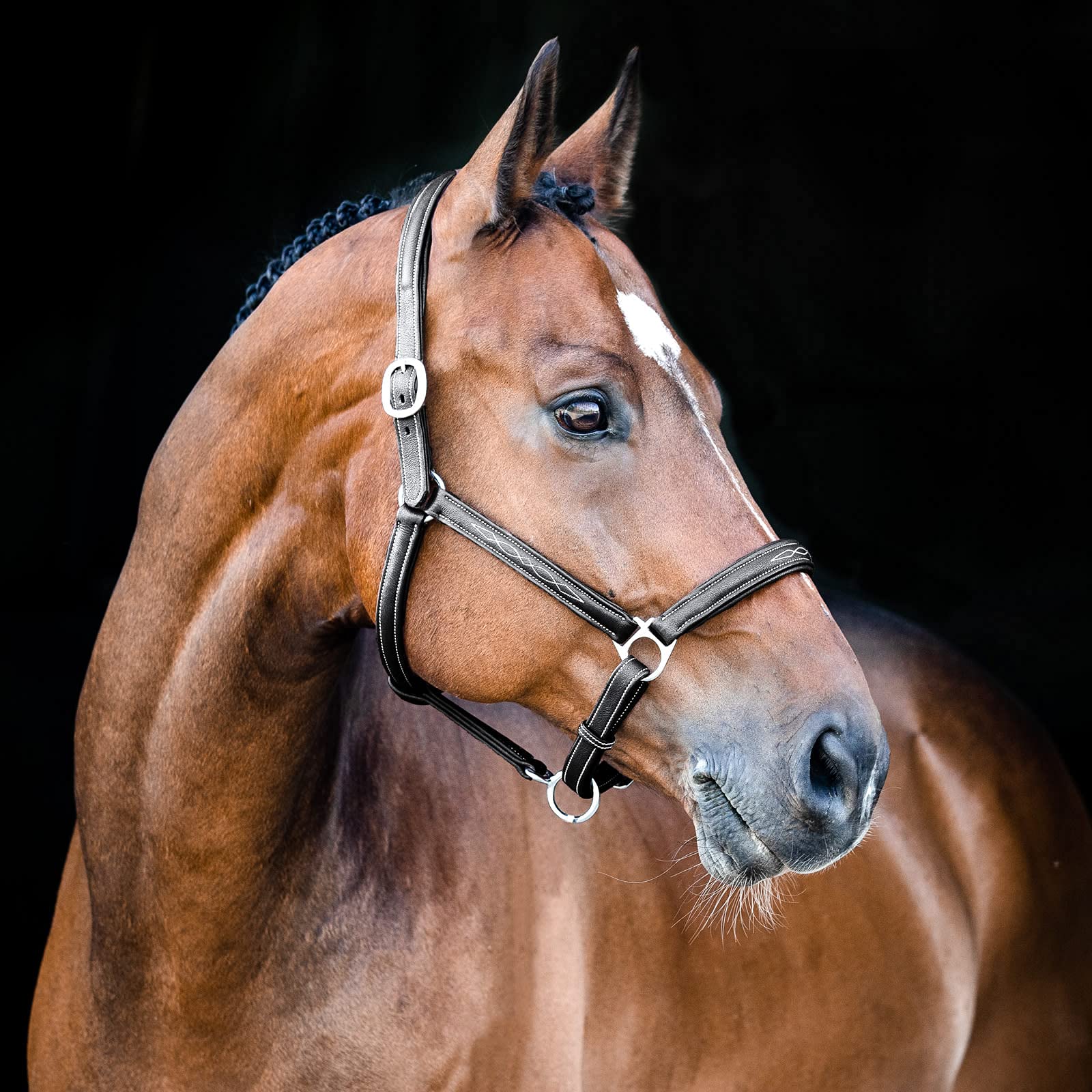 HORZE Cabezada de Cuadra de Cuero Suave Warren, Negro, F