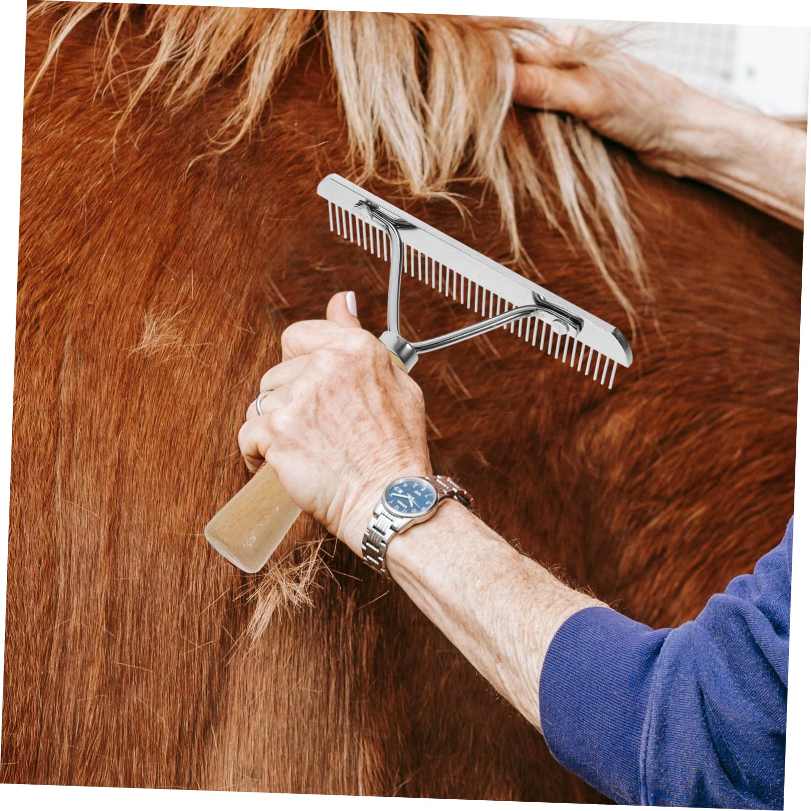 Kisangel 4 Piezas De Peine De Limpieza De Pelo De Caballo Cepillo De Limpieza Accesorio De Limpieza Diseño Sin Diseño