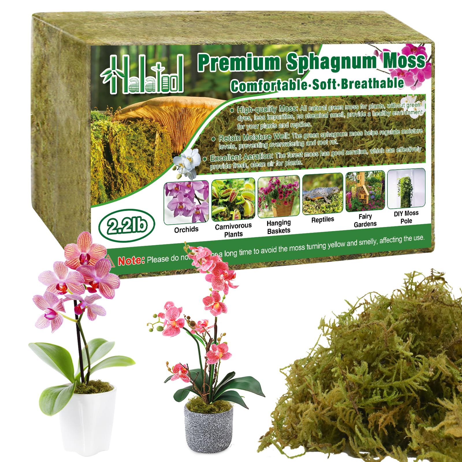 Halatool 1000g Sphagnum Moos für Pflanzen, Ideal für Orchideen, Sukkulenten, Karnivoren, Terrarien, Reptilienbedarf, Umtopfen, Gartenbau, Zucht & Anzucht 100% Naturprodukt