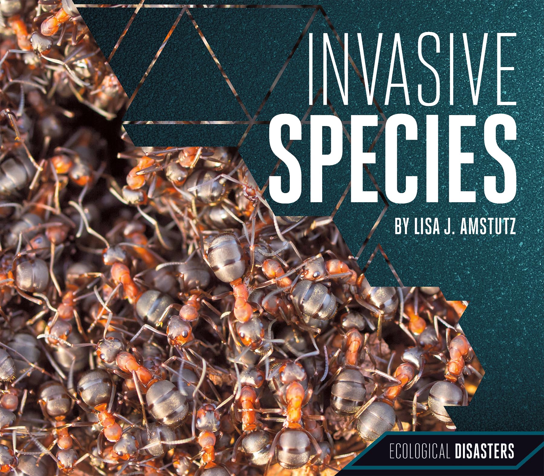 Buy Invasive Species (Ecological Disasters) — BookShops.in