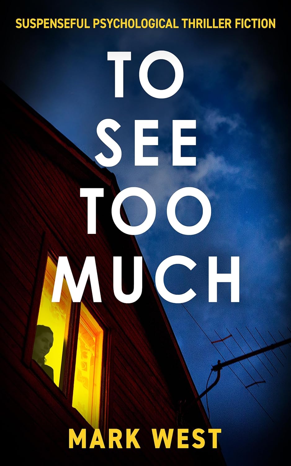 TO SEE TOO MUCH: Suspenseful psychological thriller fiction TO SEE TOO MUCH: Suspenseful psychological thriller fiction