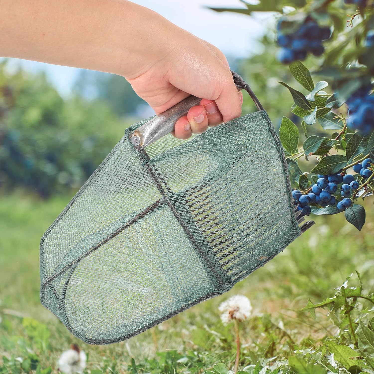 HOMSFOU 16-Tooth Blueberry Picker with Ergonomic Handle, Garden Berry Rake Scoop for Labor-Saving Fruit Harvesting, Sturdy Blueberry Picking Tool Suitable for Outdoor Gardening