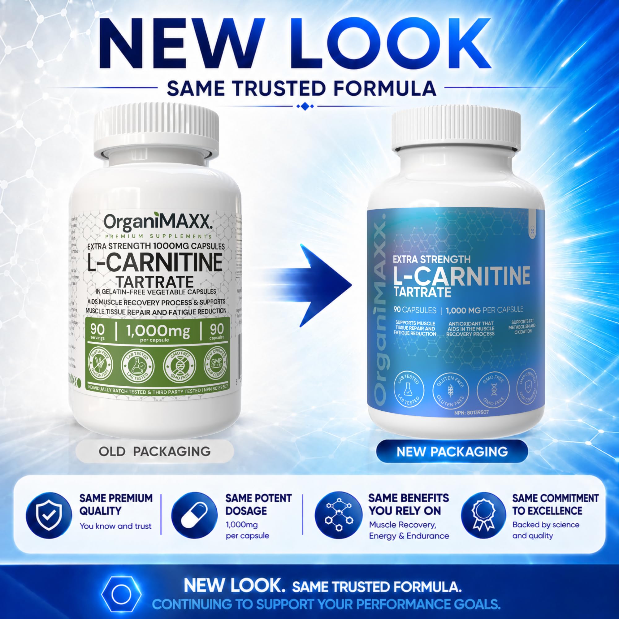 l carnitine once a day L-Carnitine | Linus Pauling Institute L Carnitine DOUBLE STRENGTH 1,000mg