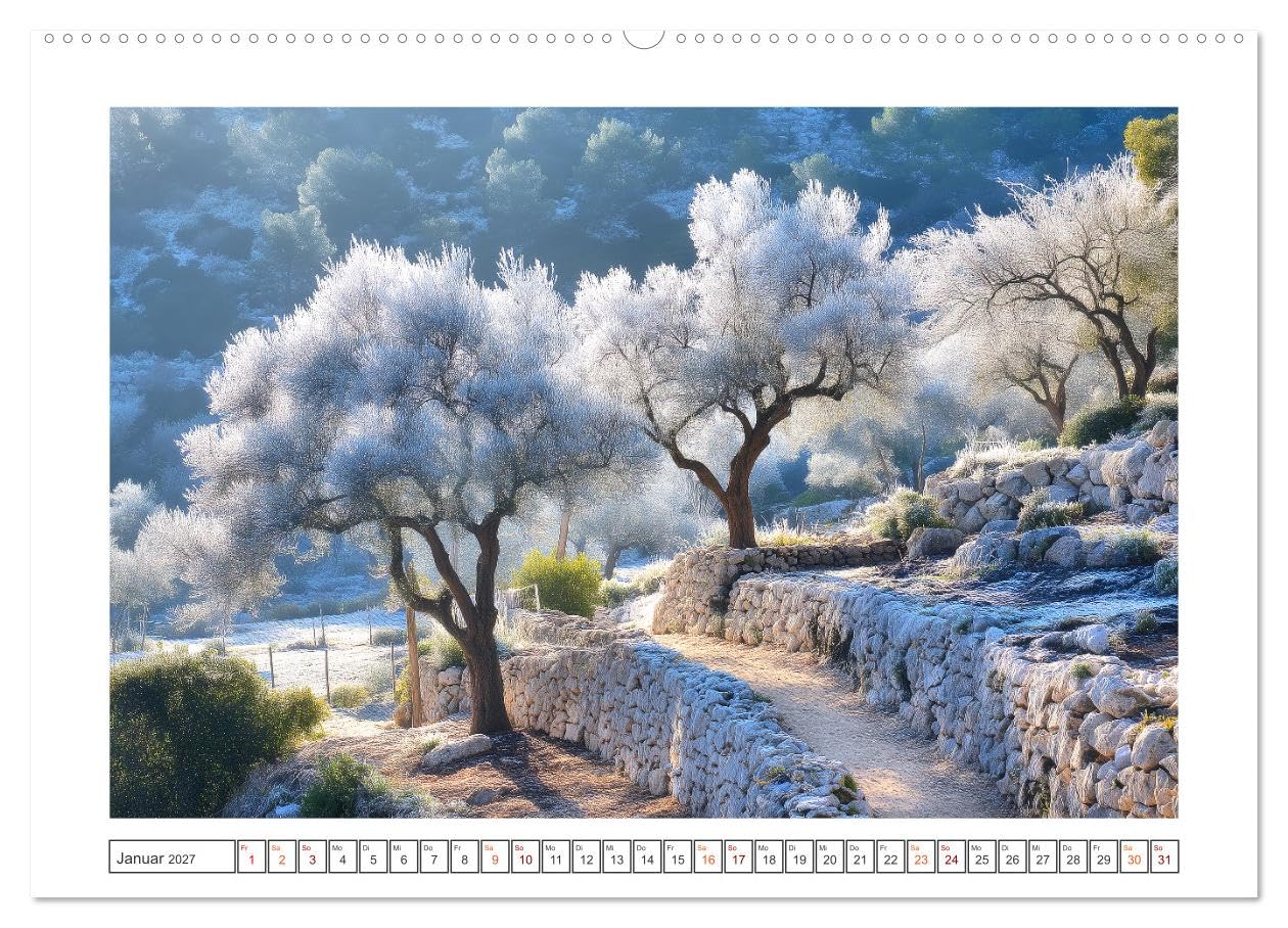 Die Magie der Olivenhaine (hochwertiger Premium Wandkalender 2027 DIN A2 quer), Kunstdruck in Hochglanz: Silbergrüne Olivenhaine, warmes Licht und die ... dich durch das Jahr. (CALVENDO Natur)