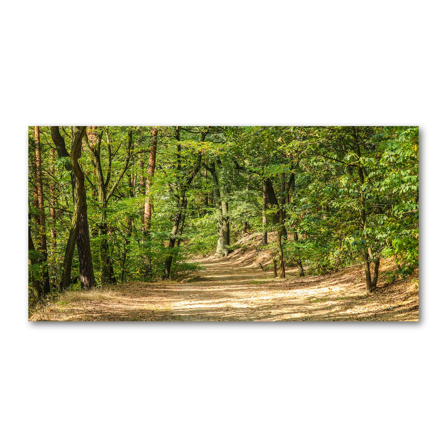 Acrylic glass picture chemin de la forêt 140x70 cm tableau acrylique Tulup