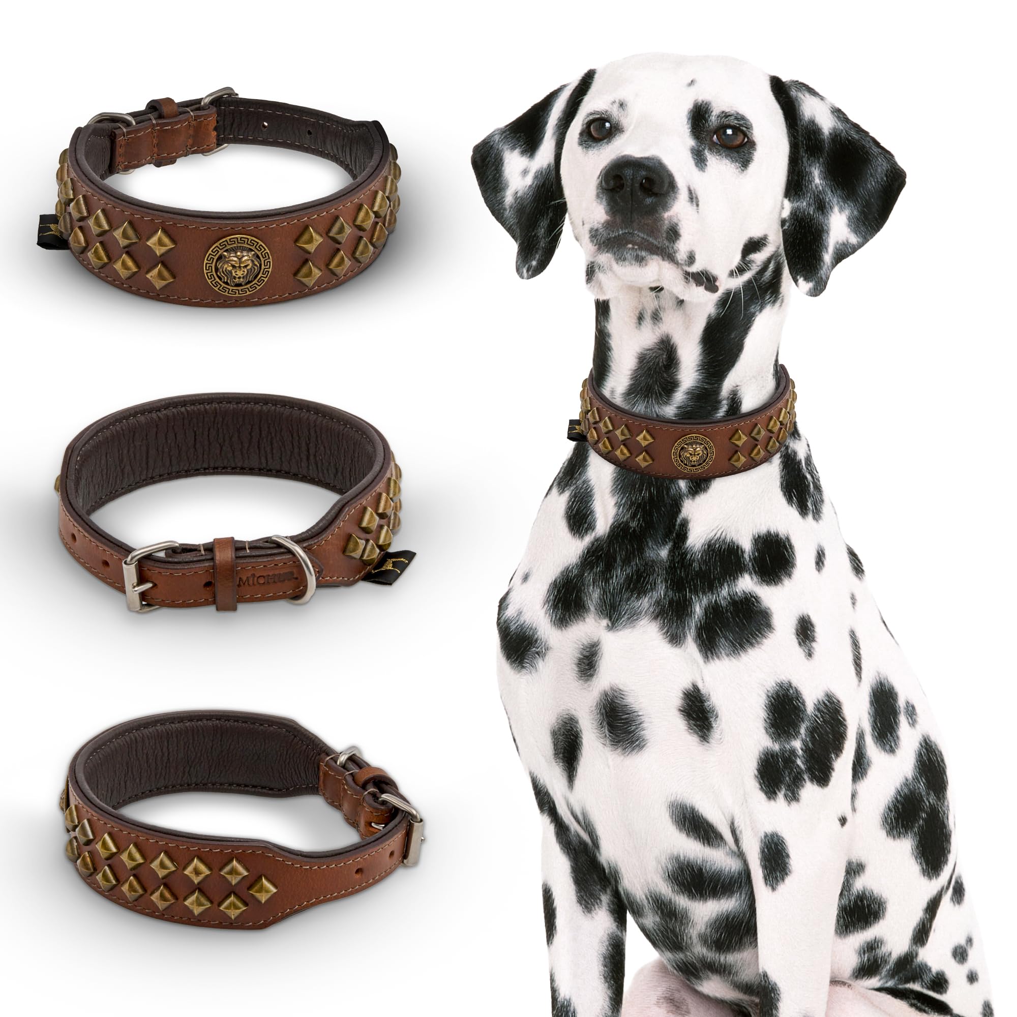 MICHUR Diego Marron Collier pour Chien Collier en Cuir Collier pour Chien Cuir avec Application tête de Lion Rivets Plats en Laiton Aklt Aspect Brun Or Disponible en différentes Tailles