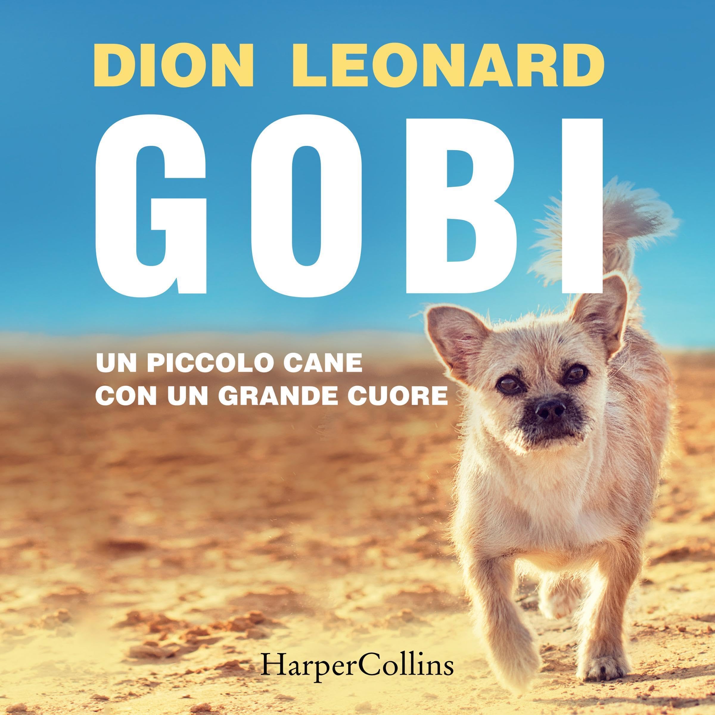 Gobi