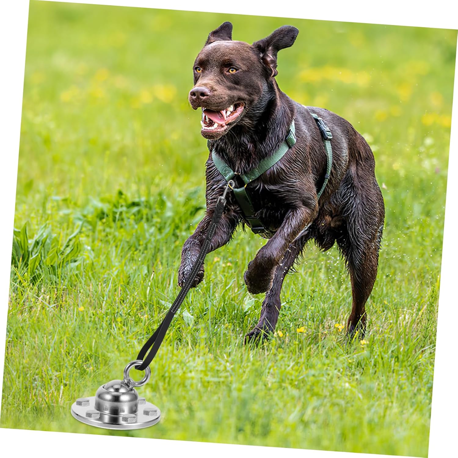 UPKOCH Heavy Duty Dog Tie Out Stake Set 360-Degree Rotating Ground Anchor for Dogs Rust-Resistant Metal Stakes Tie Out Cable for Outdoor Use