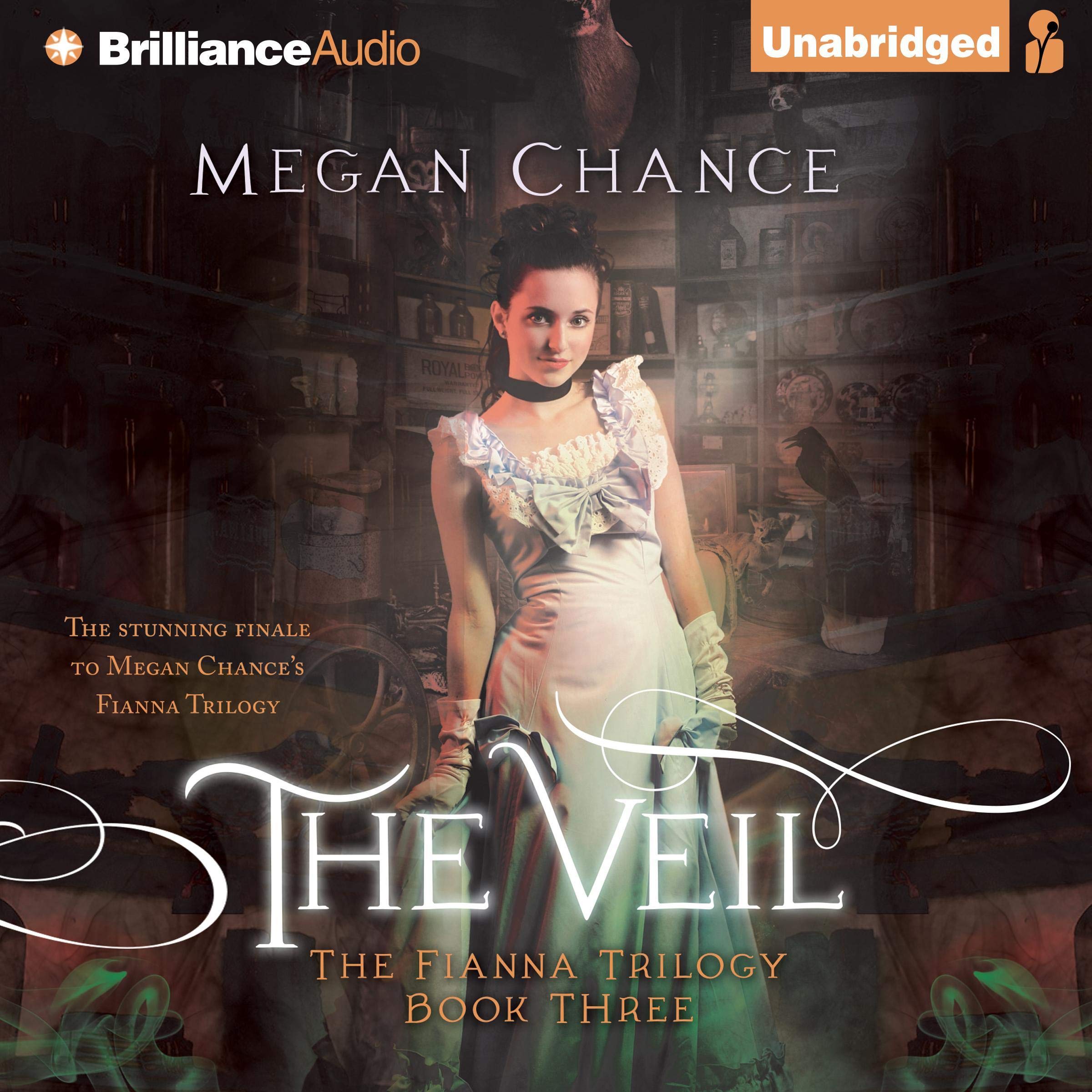 Cover art for The Veil