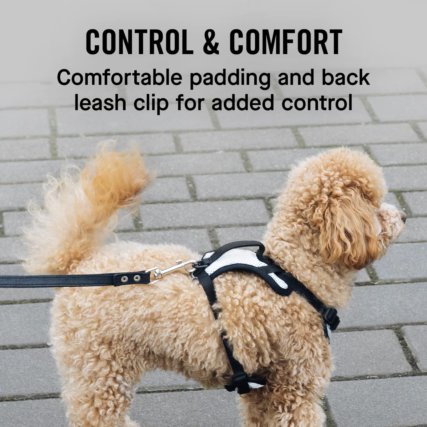 Canada Pooch Arnés de perro para caminar, ajustable, sin tirar, malla reflectante